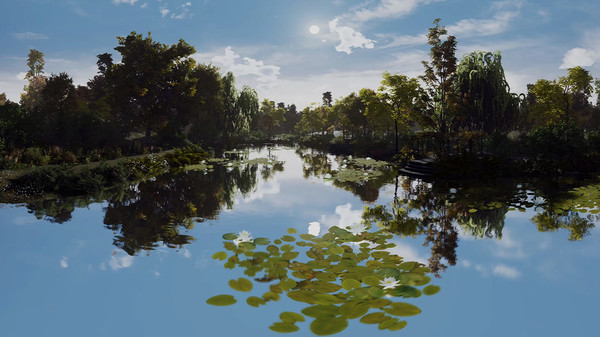 Waterlillies vr experience